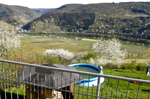 Uitzicht op de wijnbergen en de Moezel