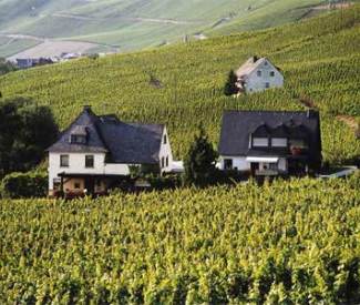 Petrushof in Graach vlakbij Bernkastel