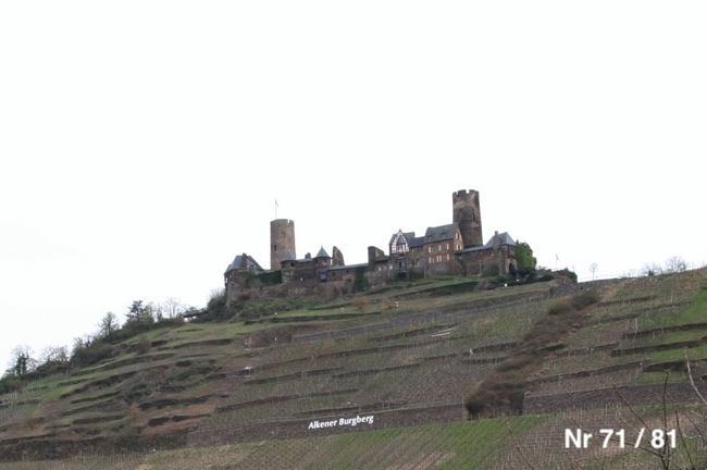 scherhag-burg-thurant