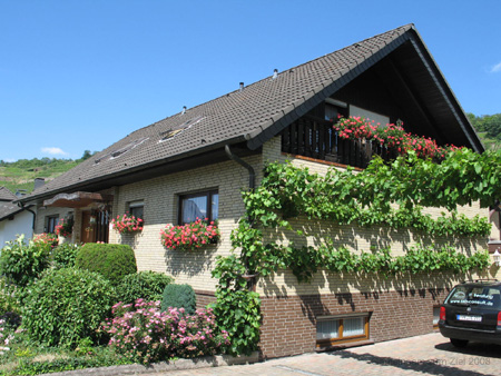 scherhag_81