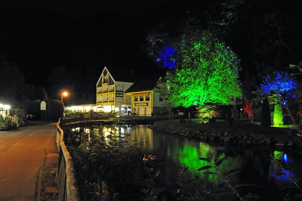 Hotel am Schwanenweiher bij nacht