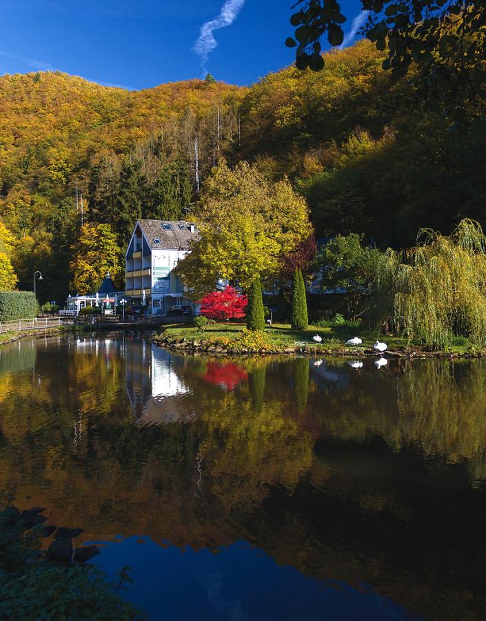 Vijver hotel Schwanenweiher