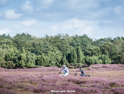 westruper heide