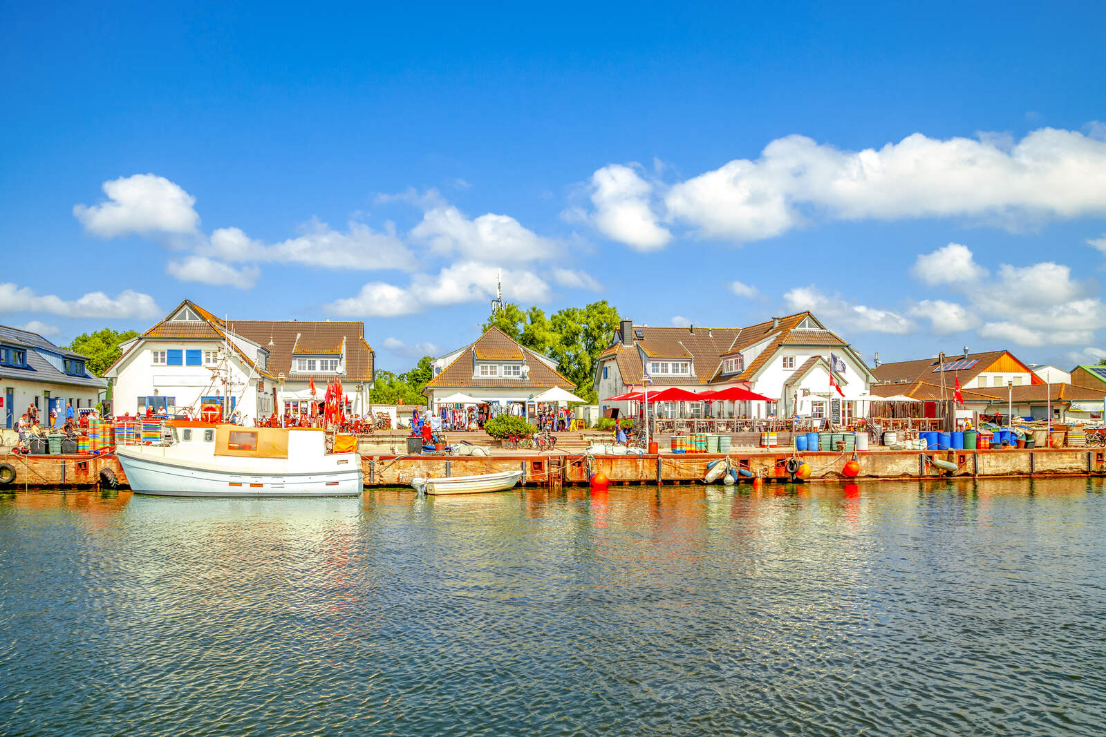 Haven Hiddesee
