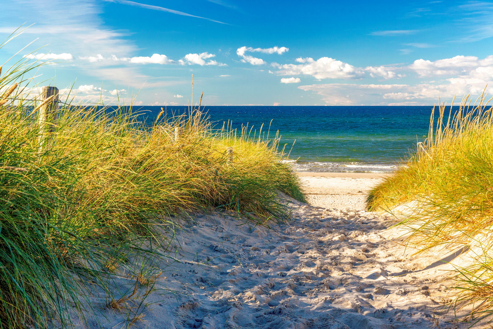 strand kuehlungsborn